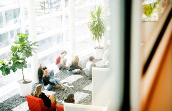  College students sit on the floor in a space decorated with green potted plants and orange chairs. 